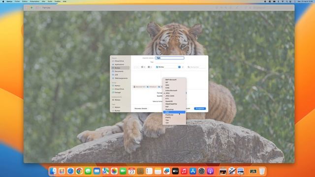 Comment convertir une image sur Mac (JPEG, PNG, TIFF, PDF, PSD, HEIC, GIF, ICNS) смотреть онлайн