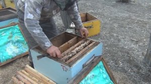 500+ Про сверхраннюю выставку и ответы на комментарии. Часть 2