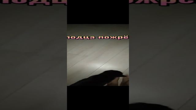 #ЛИРИЧЕСКАЯ... НОЧНАЯ!!! ПОЕМ😂(Ё) ХОРОМ😂😂😂 смотреть онлайн