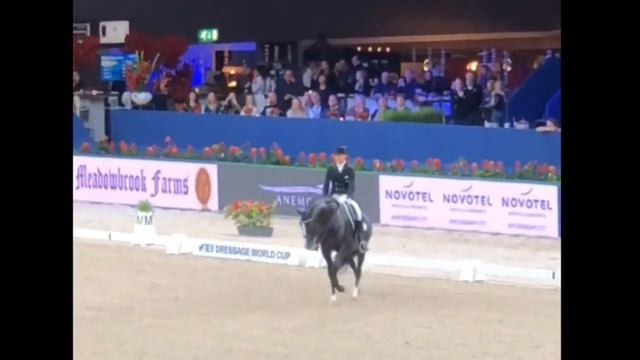 Total US (Totilas) & Edward Gal Win The Dressage Freestyle 80.5%