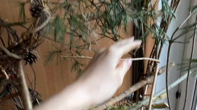 How to Build a Parrot Stand cheap🌲 Tree stand for parrots 🦜 BIRD REACTION смотреть онлайн