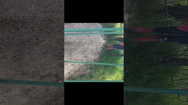 14 04 2019 5 смотреть онлайн