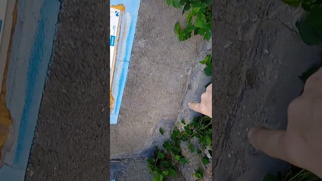 Стяжка 🏡 дома. Выбор за владельцем.??? смотреть онлайн