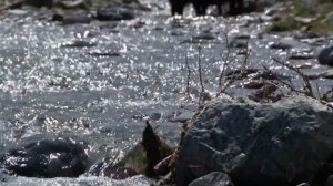 Бай-Тайгамнын кожаннары - Анзор Мартай-оол