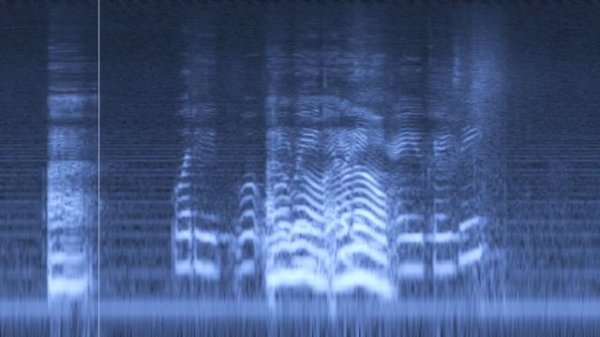 Absentia DX   Presentation