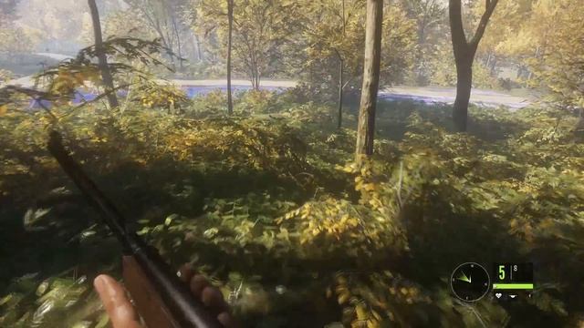 theHunter: Call of the Wild: Red Fox Hunt смотреть онлайн