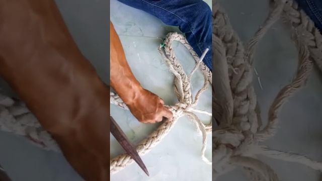 trầu dây zit siêu chăc смотреть онлайн