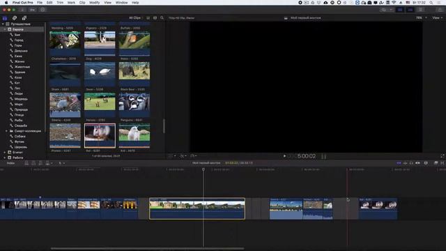 Final Cut Pro X 10.3 - Магнитность таймлинии смотреть онлайн