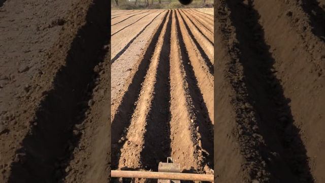 Бороздю борозы )) смотреть онлайн