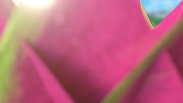 YRV MEDIA HEALTH AND BEAUTY NEW LOGO смотреть онлайн