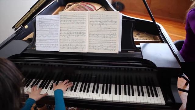 Bridge Piano Quartet Gofundme смотреть онлайн