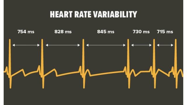 HRV (Heart Rate Variability) On The Apple Watch