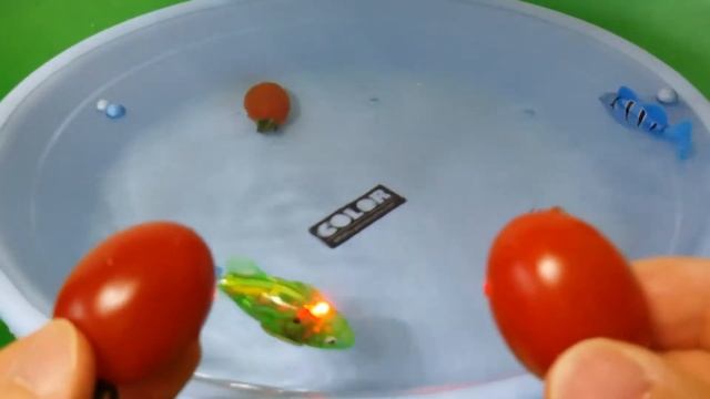 Cherry Tomato & Robot Fish. Toys For Kids Pool #robotfish смотреть онлайн