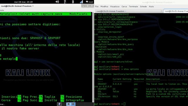 MetaSploit Fake telnet смотреть онлайн