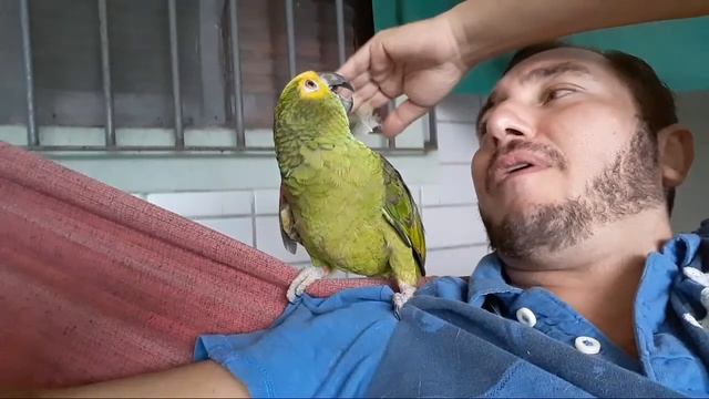 Pimenta Nuclear Trinidad Scorpion Moruga смотреть онлайн