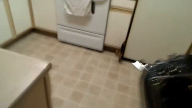 DJI AVL58 Video Link with Zenmuse H3-3D and GoPro Part 3 смотреть онлайн