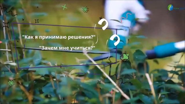 Профориентация в "Новой школе" смотреть онлайн