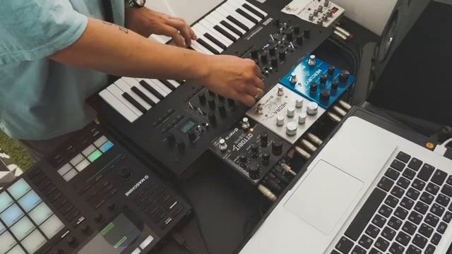 Black Lark - Jungle Jam #1 смотреть онлайн