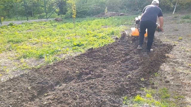 O'mac MC 12 000 E D frezare pământ în luna Mai+șanțuri pentru roșii🚀 смотреть онлайн