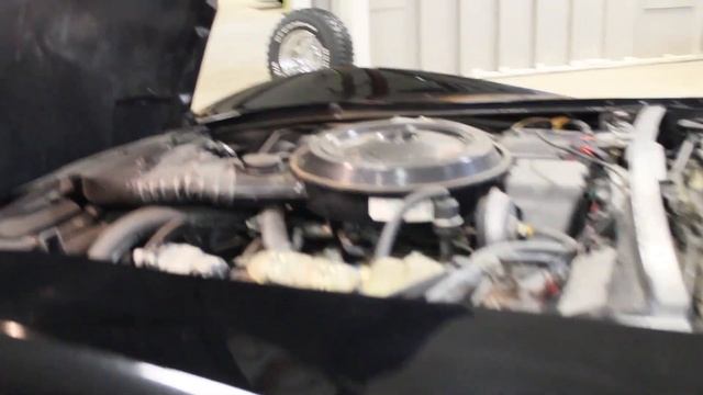 1978 Chevy Corvette Pace Car For Sale - Walk Around Video (380 Miles!!!) смотреть онлайн