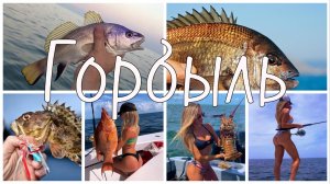 Рыбалка в Сочи ! Горбыль с берега !! Ночная Рыбалка на горбыля!  Морская рыбалка в Сочи