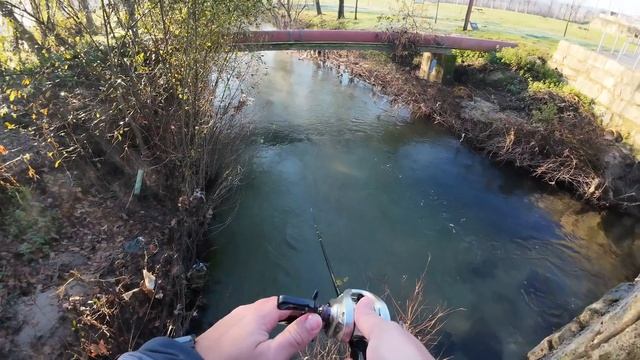 Fishing The Budget Kings Of BFS! Soloking Acura + Mavllos Delicacy