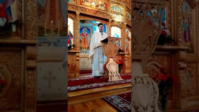 Pr. Pop Ioan - Duminica Infricosatei Judecati (19.02.2017) смотреть онлайн