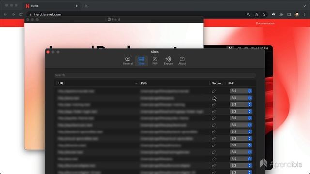 Laravel Herd + DBngin + TablePlus смотреть онлайн