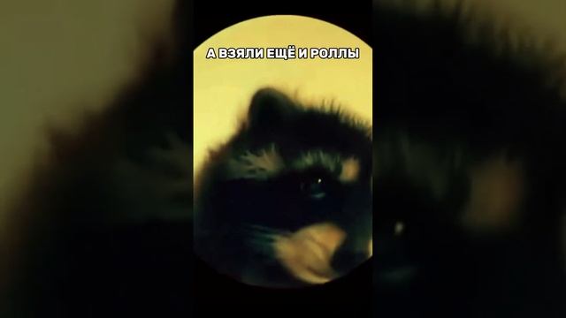 Пицца или роллы?  #pizza #пиццериябарнаул #роллыбарнаул #чикагопицца