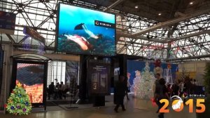 Промо-видео компании #DIMEDIA _ Новогоднее