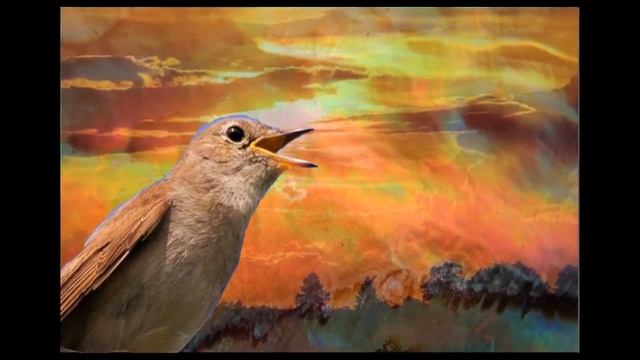 A. Thomas - Je suis Titania la blonde ... Mado Robin смотреть онлайн