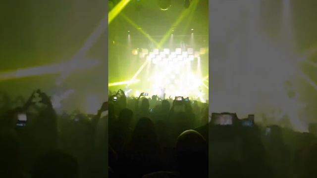 נדב גדג' LIVE смотреть онлайн