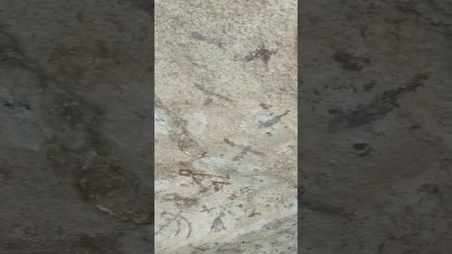 Акбауыр древний астрологический комплекс смотреть онлайн