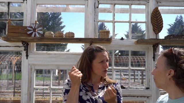 Come Take A Tour Of Our Finished Reclaimed Window Greenhouse! смотреть онлайн