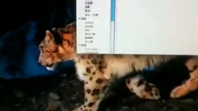 ga-x58a-ud3r install mac os 10.6.3 смотреть онлайн