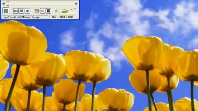 Alinking VLC RTSP Setting ,3GPP смотреть онлайн