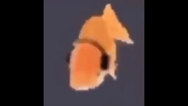 Hamburger Cheeseburger Big Mac Whopper Meme