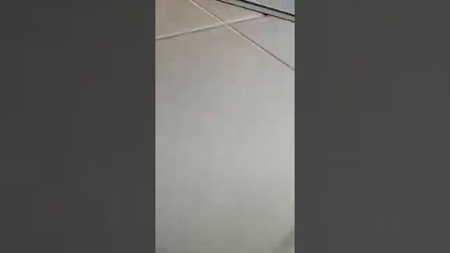 Дверь панель-панель под уголок. Снаружи ФЛ-654, Внутри ФЛЗ-240 с зеркалом смотреть онлайн