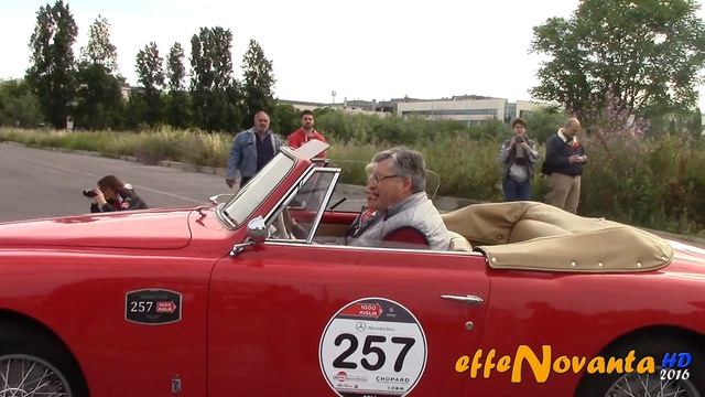 ALFA ROMEO 1900 SPRINT SPIDER PININFARINA | #257 1000Miglia 2014 HQ смотреть онлайн