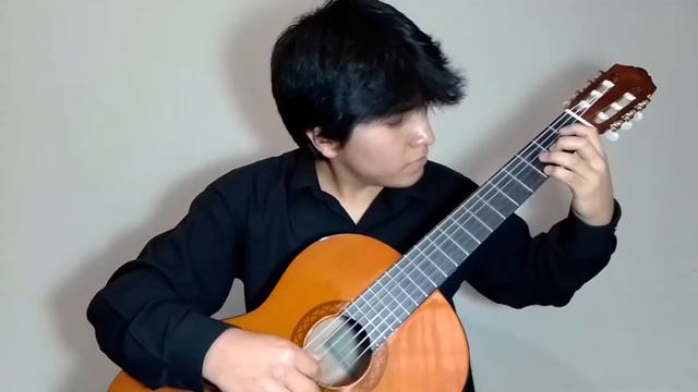 Giulio Regondi - Estudio Nro. 6 смотреть онлайн