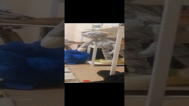 VID_20241018_203223.mp4 смотреть онлайн