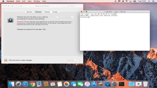 Stop FileVault Encryption Process