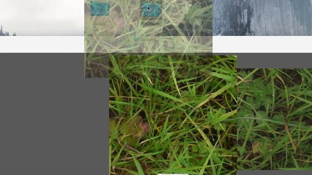 Hand labelling data for image classification mac os смотреть онлайн