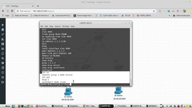 MLAG configuration & Design in Arista Switches|example with Peer link group|MLAG domainID Interface смотреть онлайн