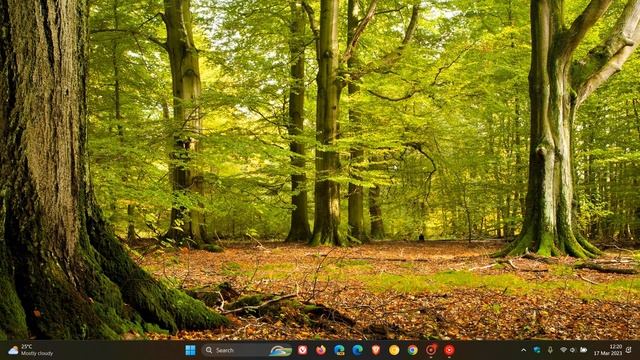 Microsoft is finalizing Windows 11 21H2 and Windows 10 22H2 bug fix updates in Release Preview смотреть онлайн