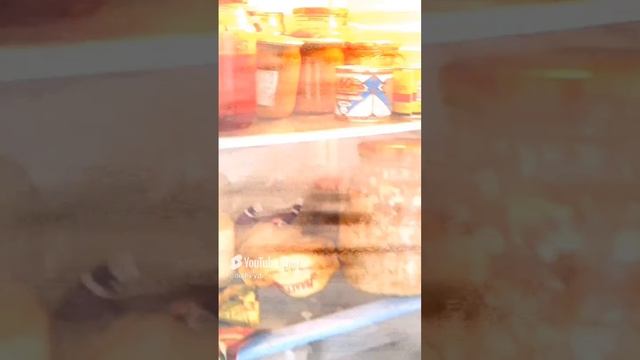 пять ночей у ёжика