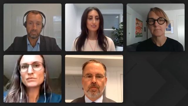 Rud Pedersen Public affairs webinar om kompetensinvesteringar i Västsverige смотреть онлайн