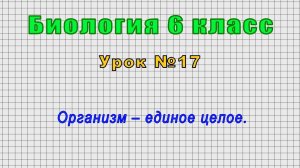 Биология 6 класс (Урок№17 - Организм – единое целое.)