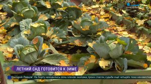 Летний сад готовится к зиме