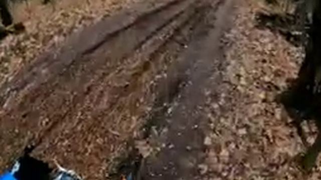 Strida. Это универсальный велик? смотреть онлайн